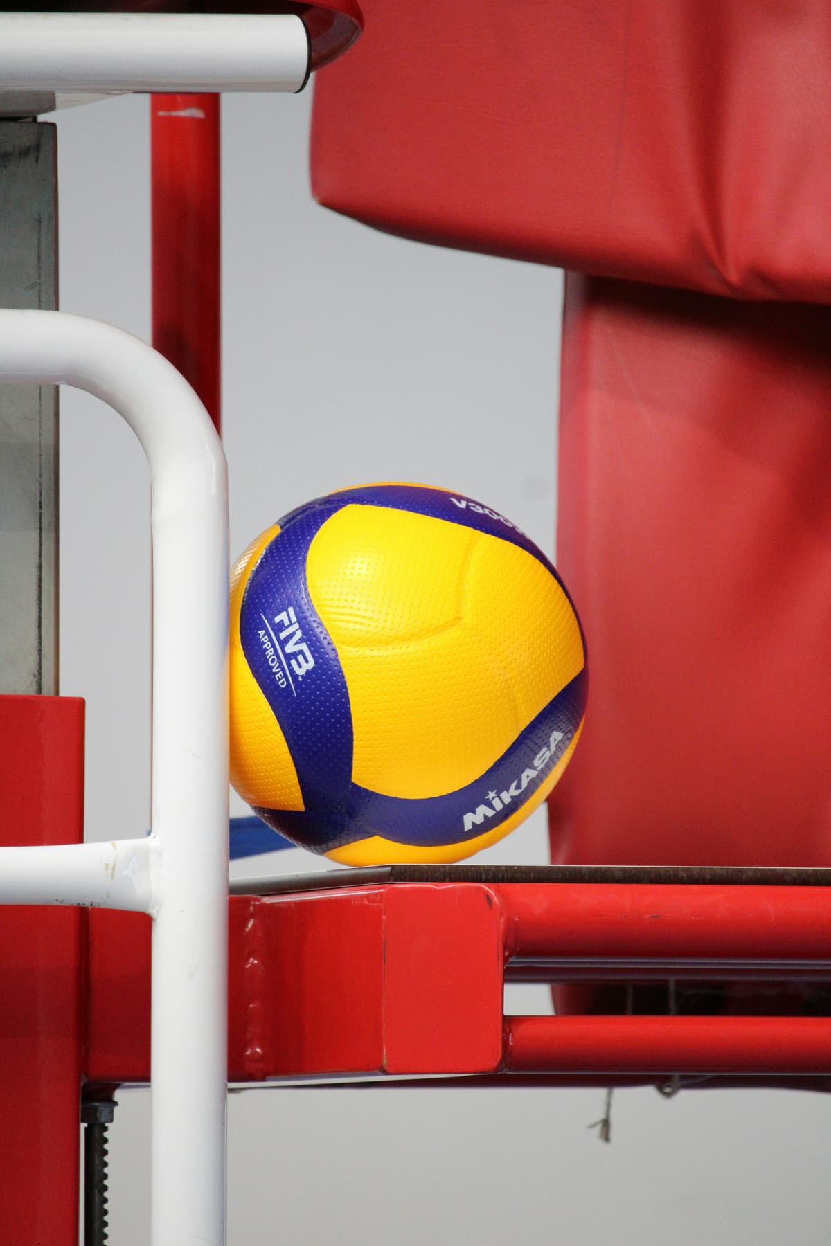 Volleyball program